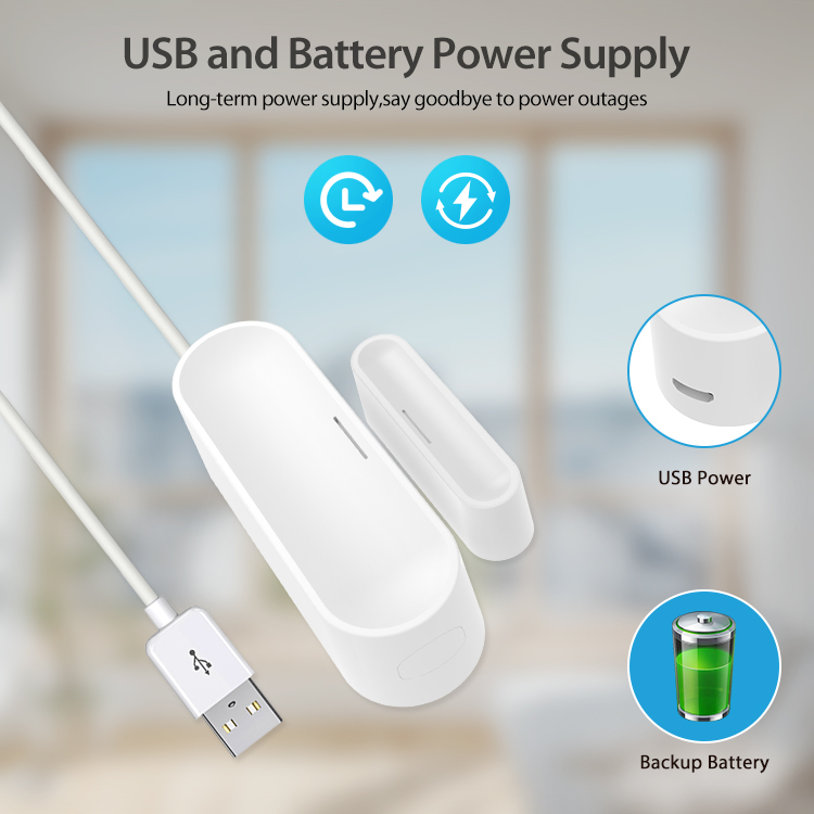 Home Security Battery - Tuya スマート ドア ウィンドウ センサー、ホーム セキュリティ検知器、電池式または