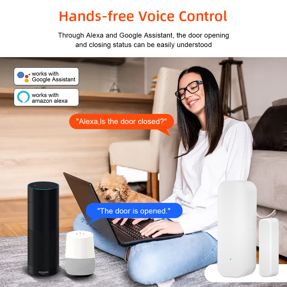 Tuya WiFi Zigbee 窓ドアセンサー バッテリー - Home Security Battery のレビューと価格
