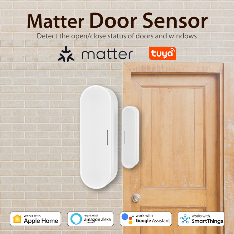 Tuya スマート ドア ウィンドウ センサー、ホーム セキ - Home Security Battery のレビューと価格
